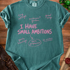 Teal t-shirt with pink text "I HAVE SMALL AMBITIONS" and surrounding phrases.