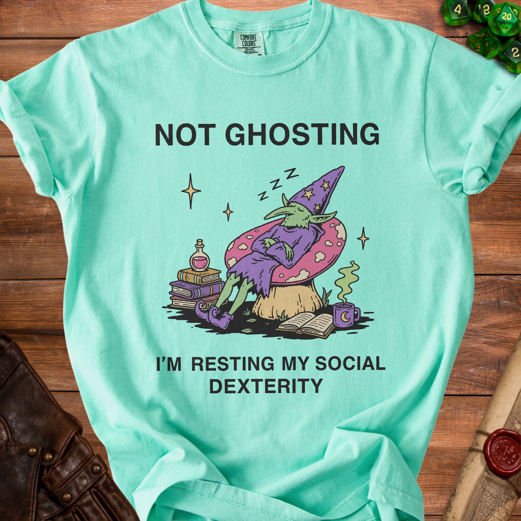 Aqua t-shirt with a graphic of a sleeping goblin on a mushroom and text.