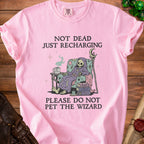 Pink t-shirt with skeleton wizard: "NOT DEAD JUST RECHARGING PLEASE DO NOT PET THE WIZARD".