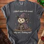 T-shirt with a sad possum wearing a wizard hat and holding swords, text reads "i didn't even f*ck around why am i finding out?"