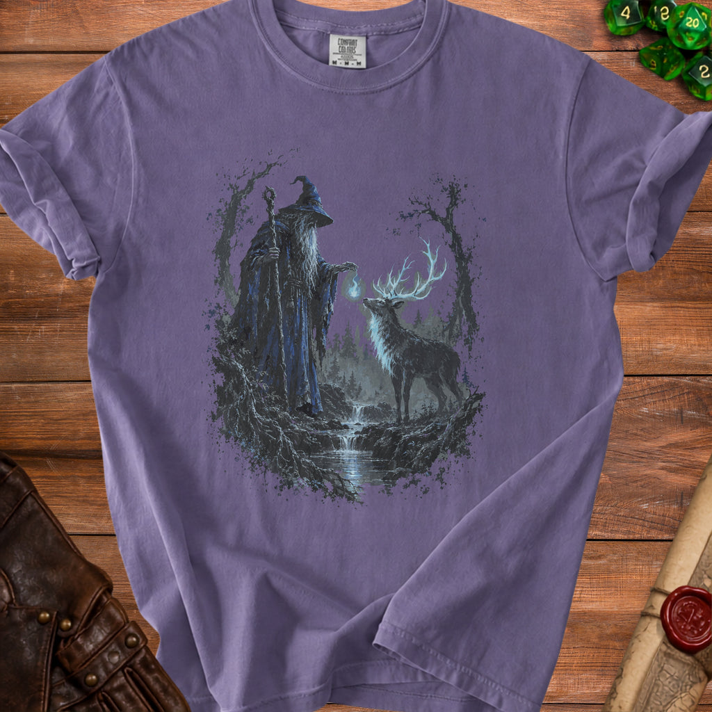 Wizard with staff and glowing orb meets a stag in a forest with a waterfall.