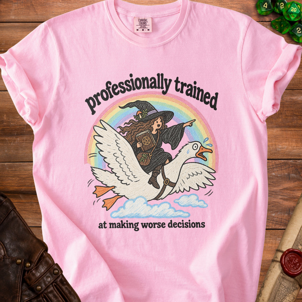 Pink t-shirt with witch riding a goose over a rainbow and clouds, text "professionally trained at making worse decisions".