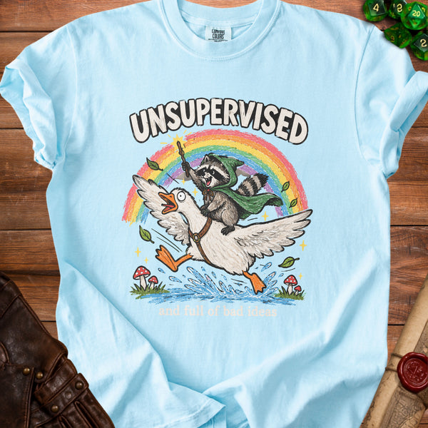 Unsupervised Raccoon T-Shirt in Chambray