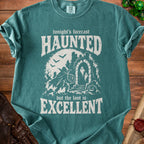 Green t-shirt with white text and graphic: "tonight's forecast HAUNTED but the loot is EXCELLENT."