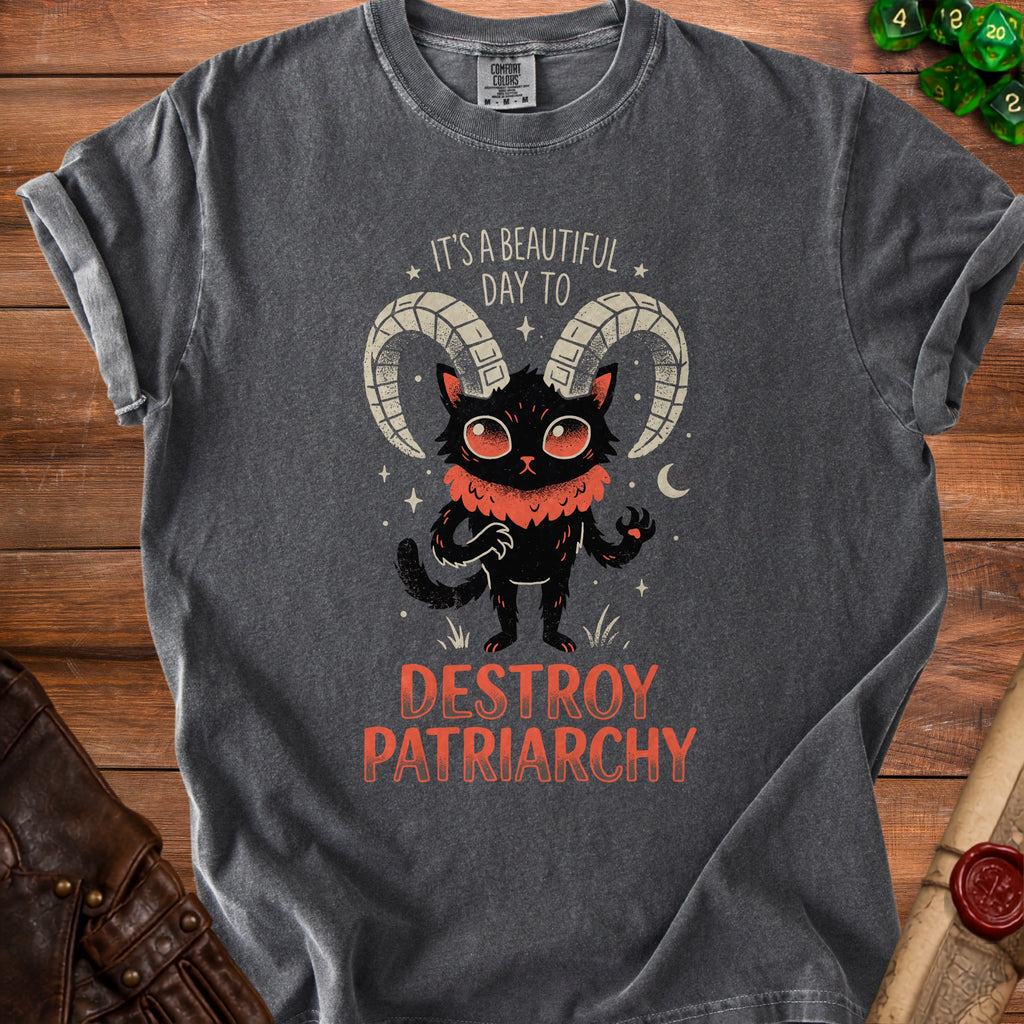 Black cat with ram horns wearing shirt that says "It's a beautiful day to destroy patriarchy."