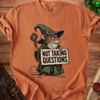 Illustration of a wizard mouse holding a sign that reads "NOT TAKING QUESTIONS".