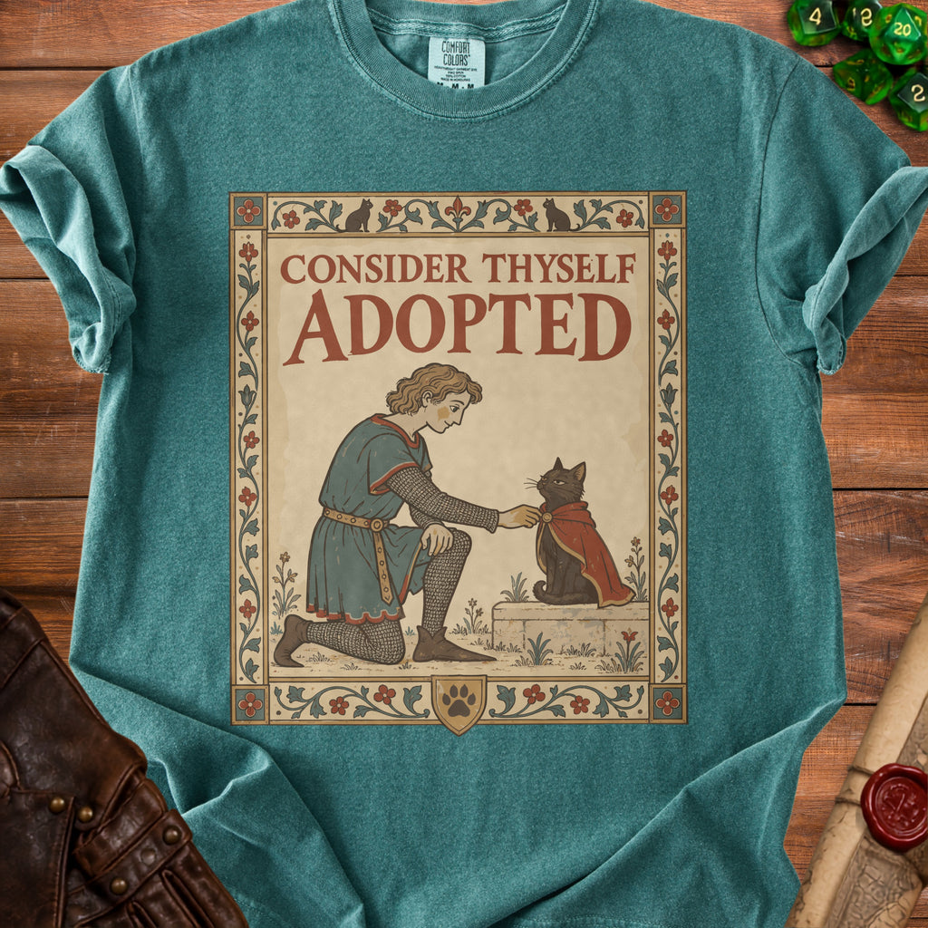 T-shirt with medieval-style art of a person in armor adopting a cat.