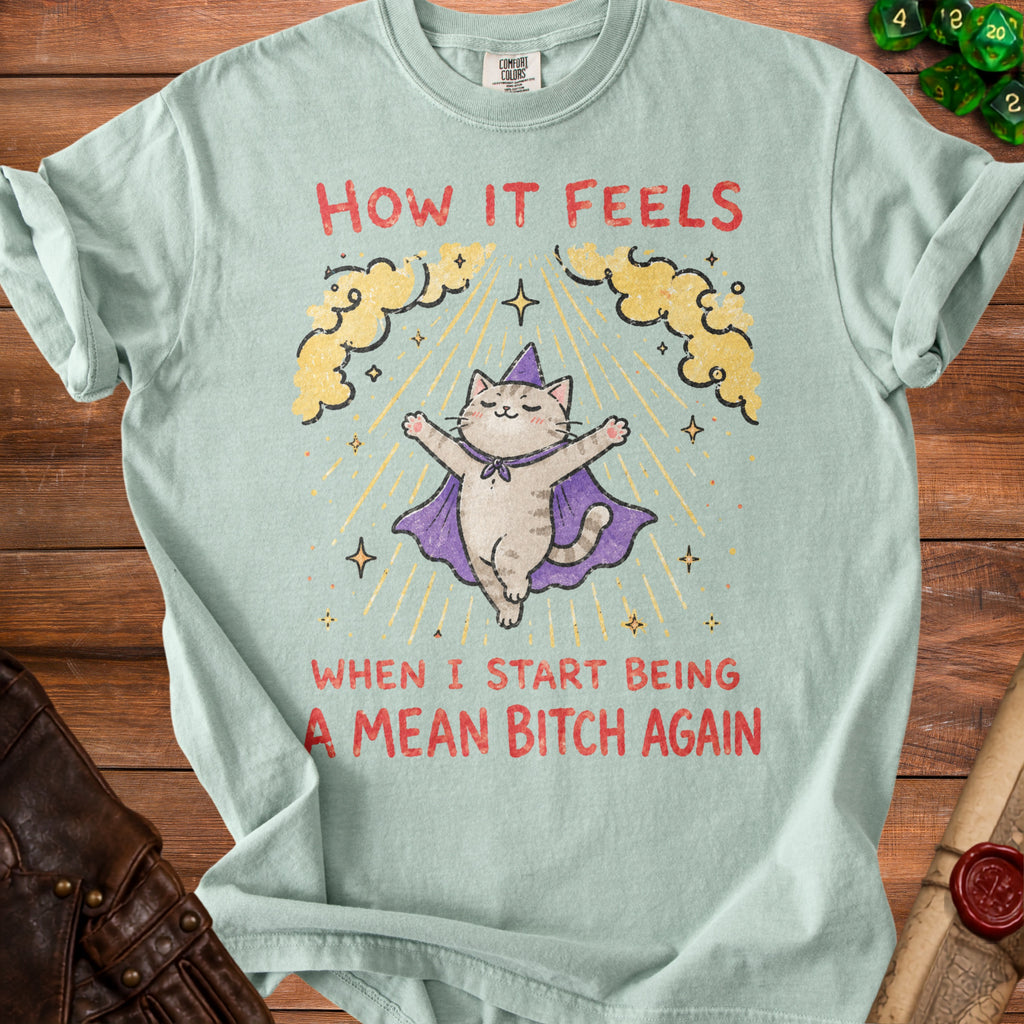 Light blue t-shirt with a cartoon cat wearing a wizard hat and cape, text reads "How it feels when I start being a mean bitch again".