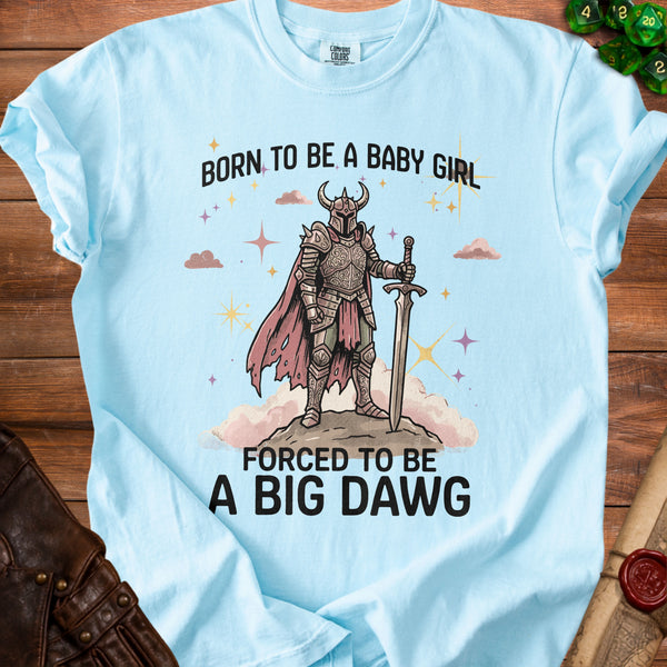 Born to Be T-Shirt in Chambray
