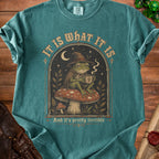 T-shirt with frog in witch hat on mushroom, text "It is what it is".