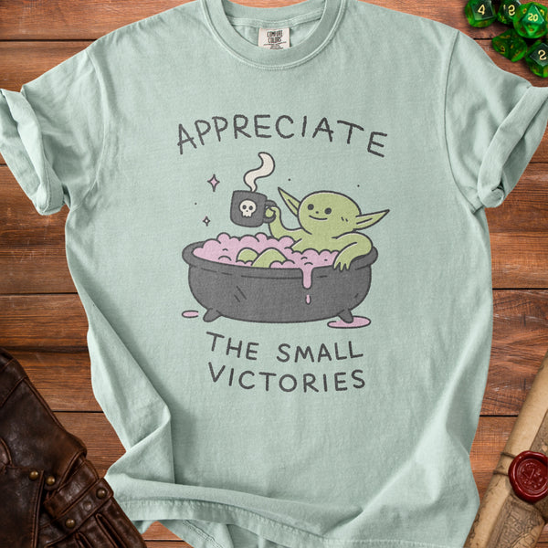 Appreciate Small Victories T-Shirt in Bay