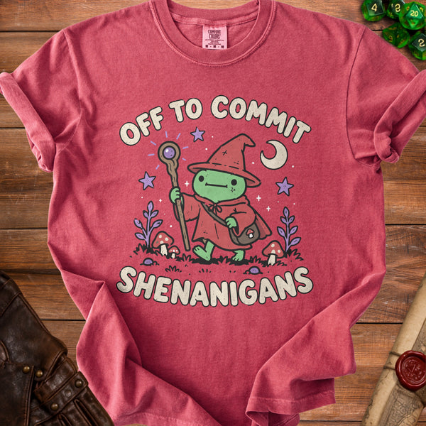 Wizard Shenanigans T-Shirt in Crimson