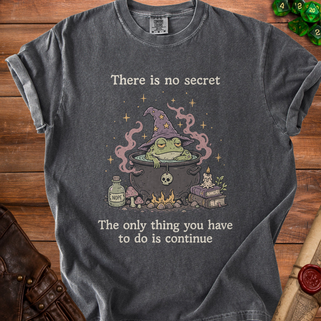 Dark gray t-shirt with a witch frog in a cauldron, with text "There is no secret".