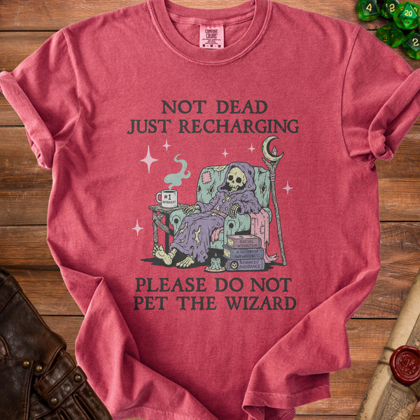 Recharging Wizard T-shirt in Crimson