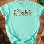 Five ducks dressed as fantasy characters walk in a line on a teal t-shirt.