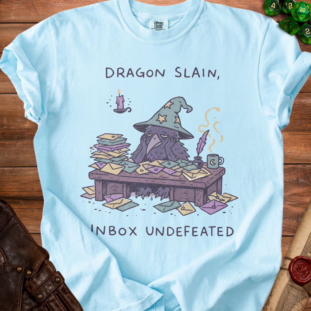 Light blue t-shirt with raven wearing wizard hat, "Dragon Slain, Inbox Undefeated" text.
