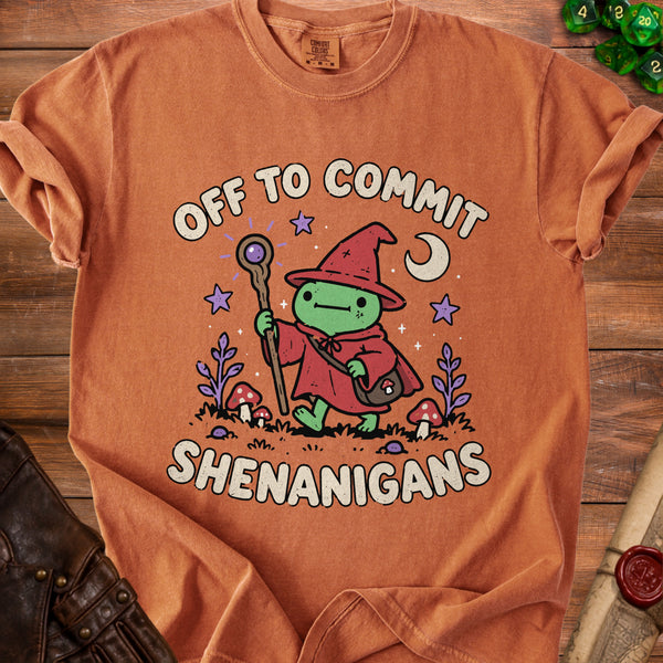 Wizard Shenanigans T-Shirt in Yam