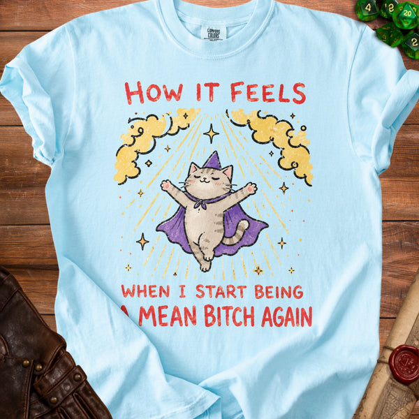 Mean Bitch Wizard T-Shirt in Chambray