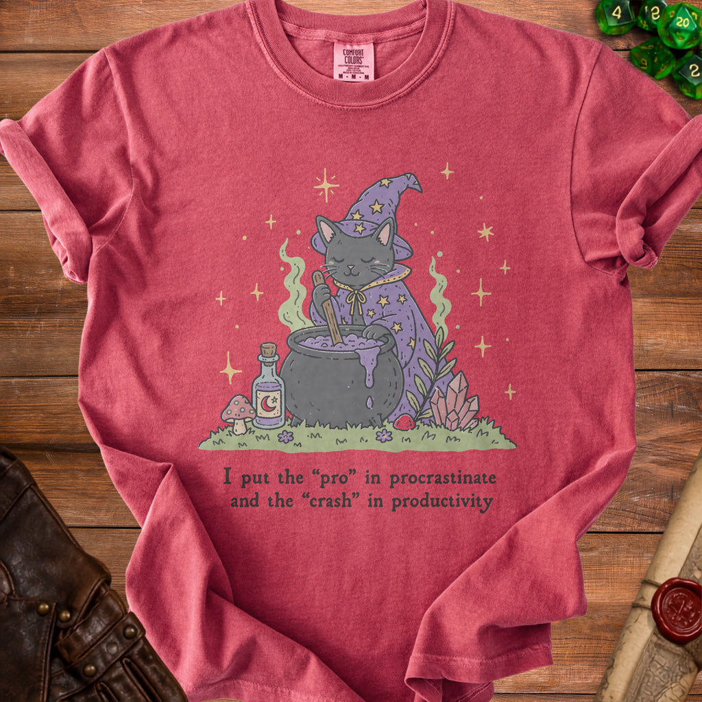 Gray cat wizard stirring potion with text "I put the 'pro' in procrastinate."