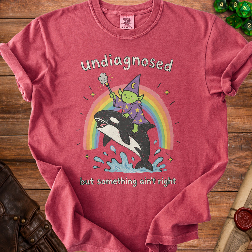 T-shirt graphic: green wizard rides killer whale over rainbow, text "undiagnosed but something ain't right".