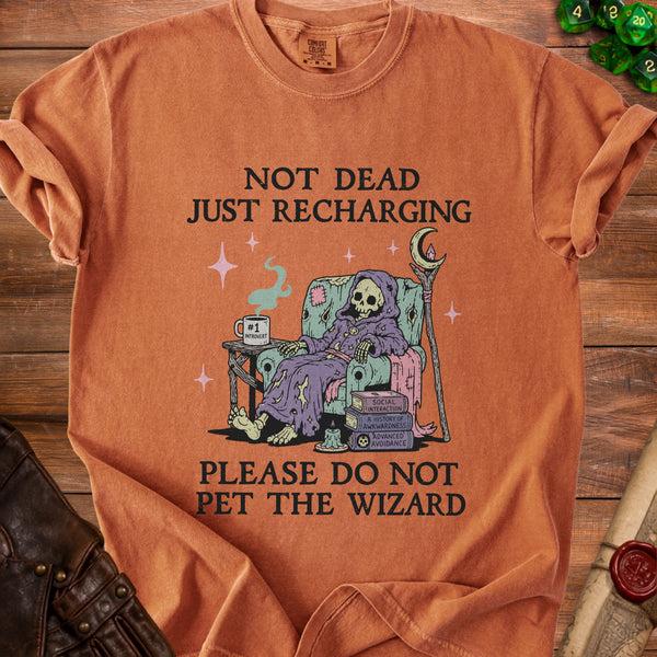 Recharging Wizard T-shirt in Yam