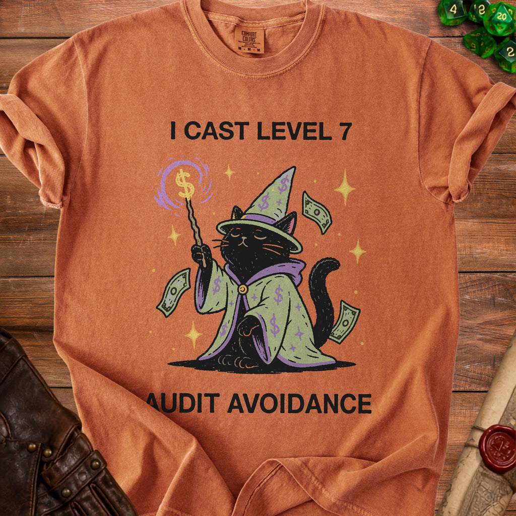 Black cat wizard with dollar signs on hat and robe, casting spell, text "I CAST LEVEL 7 AUDIT AVOIDANCE".