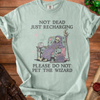 Light blue t-shirt with skeleton wizard sitting in chair, text "Not Dead Just Recharging" and "Please Do Not Pet the Wizard".