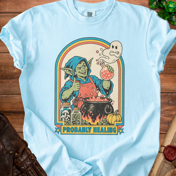 Probably Healing T-Shirt in Chambray