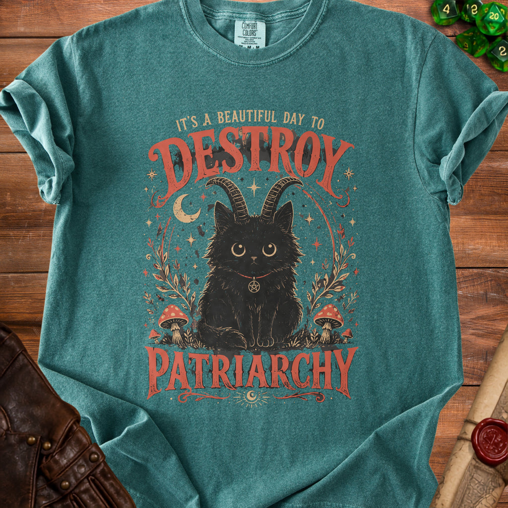 Black cat with goat horns and pentacle necklace on t-shirt reading "It's a beautiful day to destroy patriarchy."