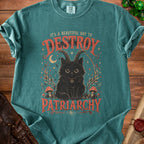 Black cat with goat horns and pentacle necklace on t-shirt reading "It's a beautiful day to destroy patriarchy."