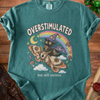 Teal t-shirt with graphic of a black cat flying on a moth with text "OVERSTIMULATED but still curious".