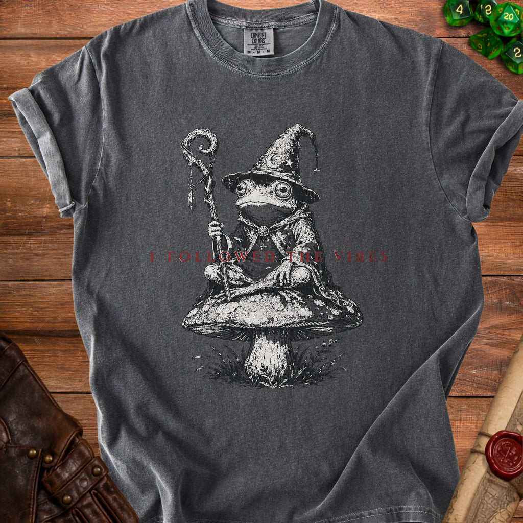 Frog wizard sitting on mushroom, text reads "I FOLLOWED THE VIBES".