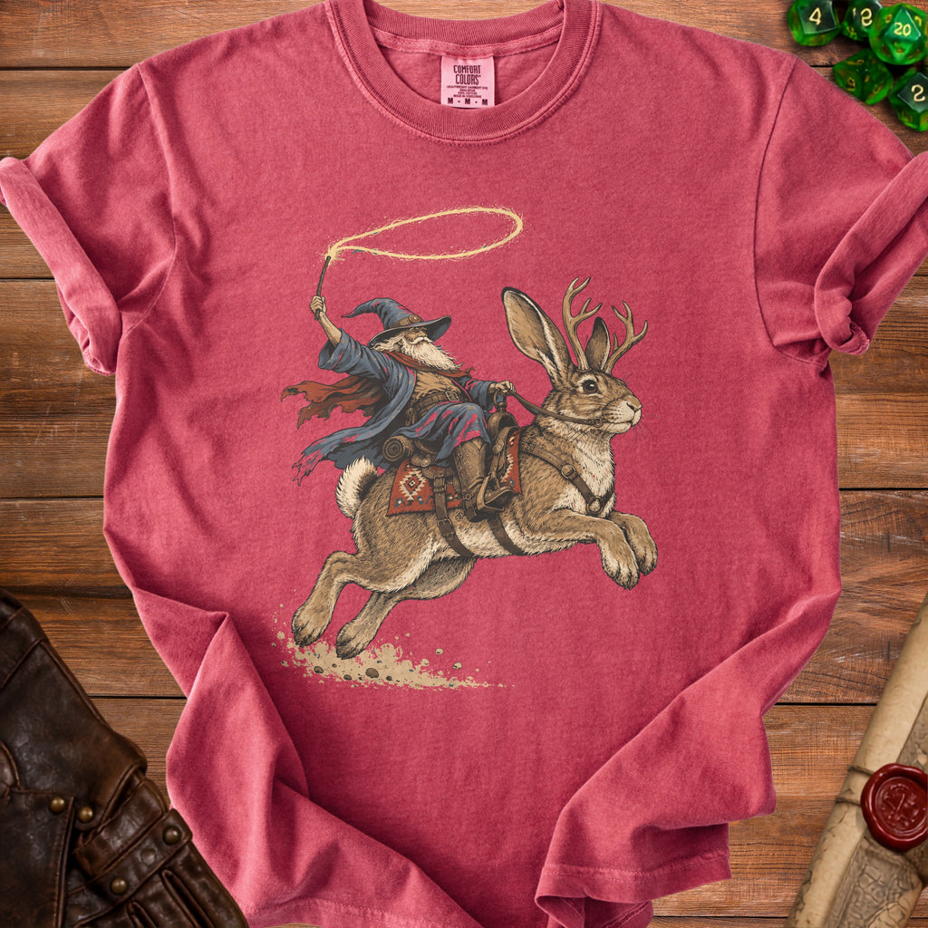 Wizard riding a jackalope with a lasso and dice nearby.