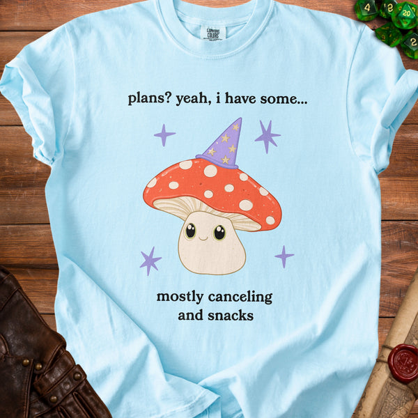 Magical Plans T-shirt in Chambray