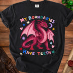 Black t-shirt with a pink dragon graphic and text "MY BOUNDARIES HAVE TEETH".