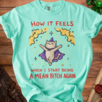 Teal t-shirt with a cat wearing a wizard hat and cape, surrounded by clouds and stars. Text reads: "How it feels when I start being a mean bitch again."