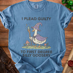 Blue t-shirt with a wizard goose graphic and text "I PLEAD GUILTY TO FIRST DEGREE SILLY GOOSERY".