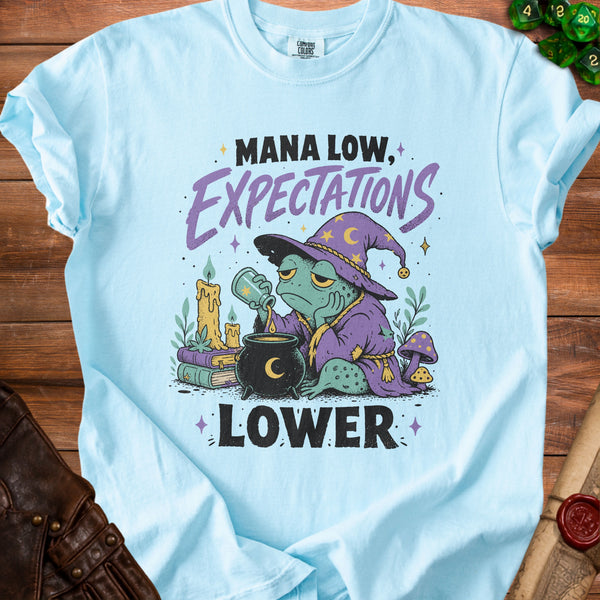 Mana Low T-Shirt in Chambray