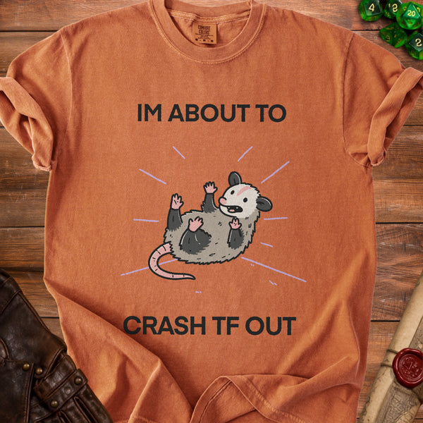 Opossum Crash Out T-Shirt in Yam