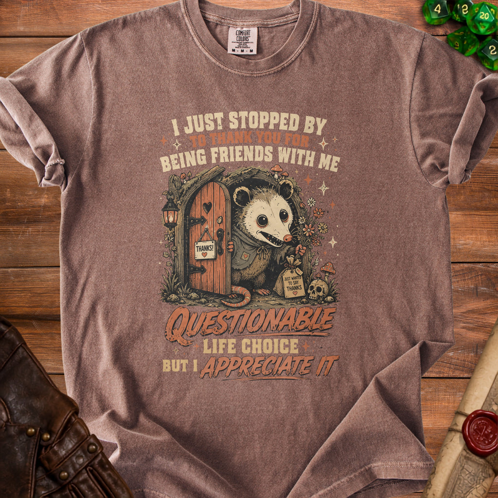Opossum by a door on a t-shirt, saying "Questionable Life Choice But I Appreciate It".