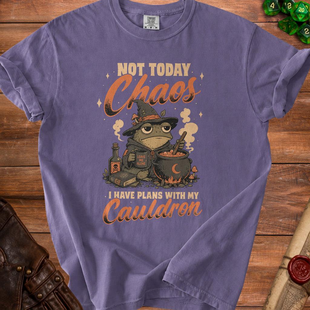 T-shirt with frog wizard, cauldron, and text "Not today Chaos. I have plans with my Cauldron."