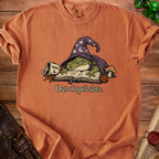 Frog wearing a wizard hat and cape naps on a book, "Out of spell slots."